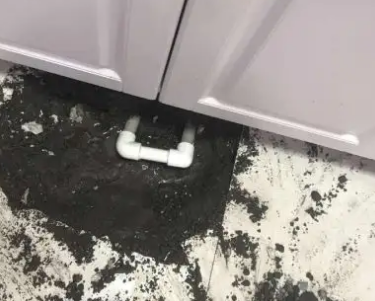 兴义查漏水哪家好